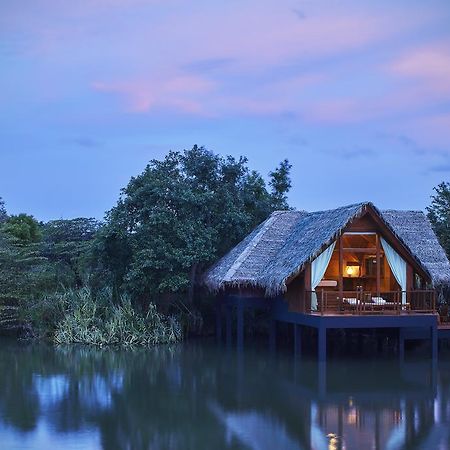 Jetwing Vil Uyana, A Luxury Reserve Sigiriya Bagian luar foto